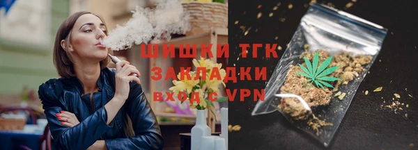 сатива Бородино