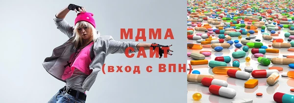 сатива Бородино
