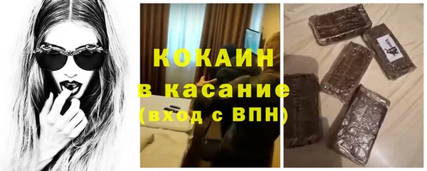 индика Бугульма
