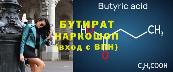 сатива Бородино