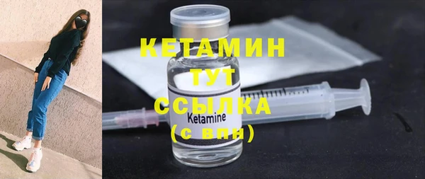 сатива Бородино