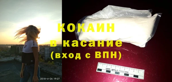 сатива Бородино
