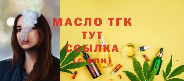 сатива Бородино