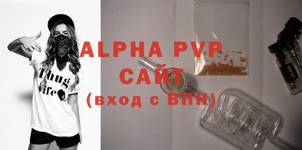 сатива Бородино