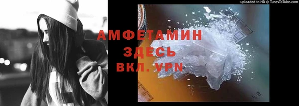 сатива Бородино