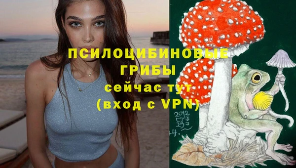 индика Бугульма