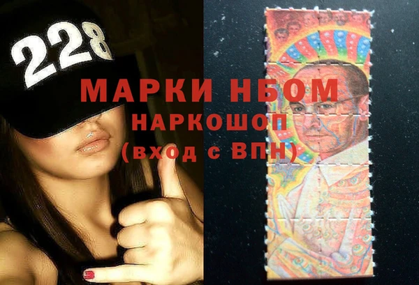 индика Бугульма