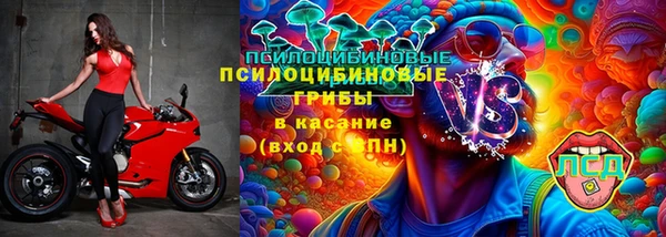 индика Бугульма