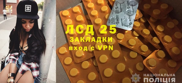 сатива Бородино
