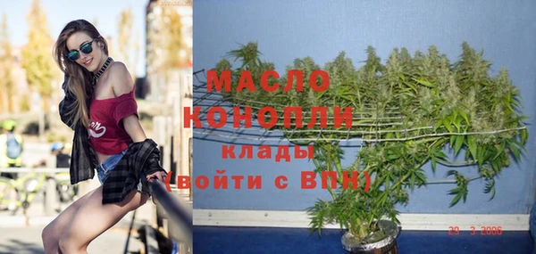 индика Бугульма