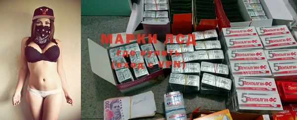 индика Бугульма