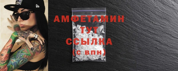 сатива Бородино