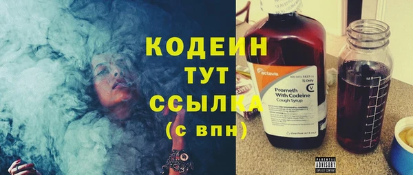 сатива Бородино