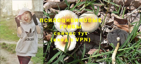 сатива Бородино