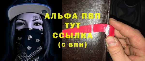 сатива Бородино