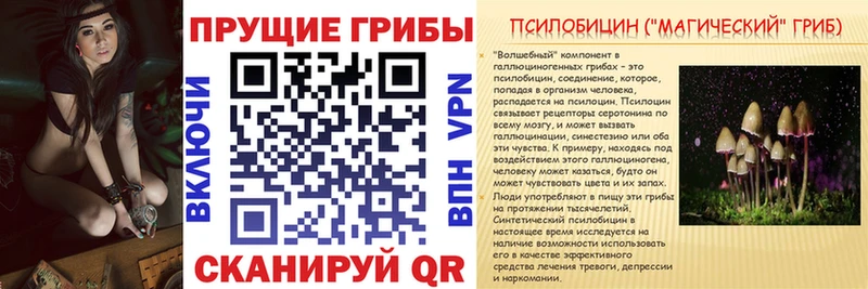 Купить  Руза  Псилоцибиновые грибы Magic Shrooms 